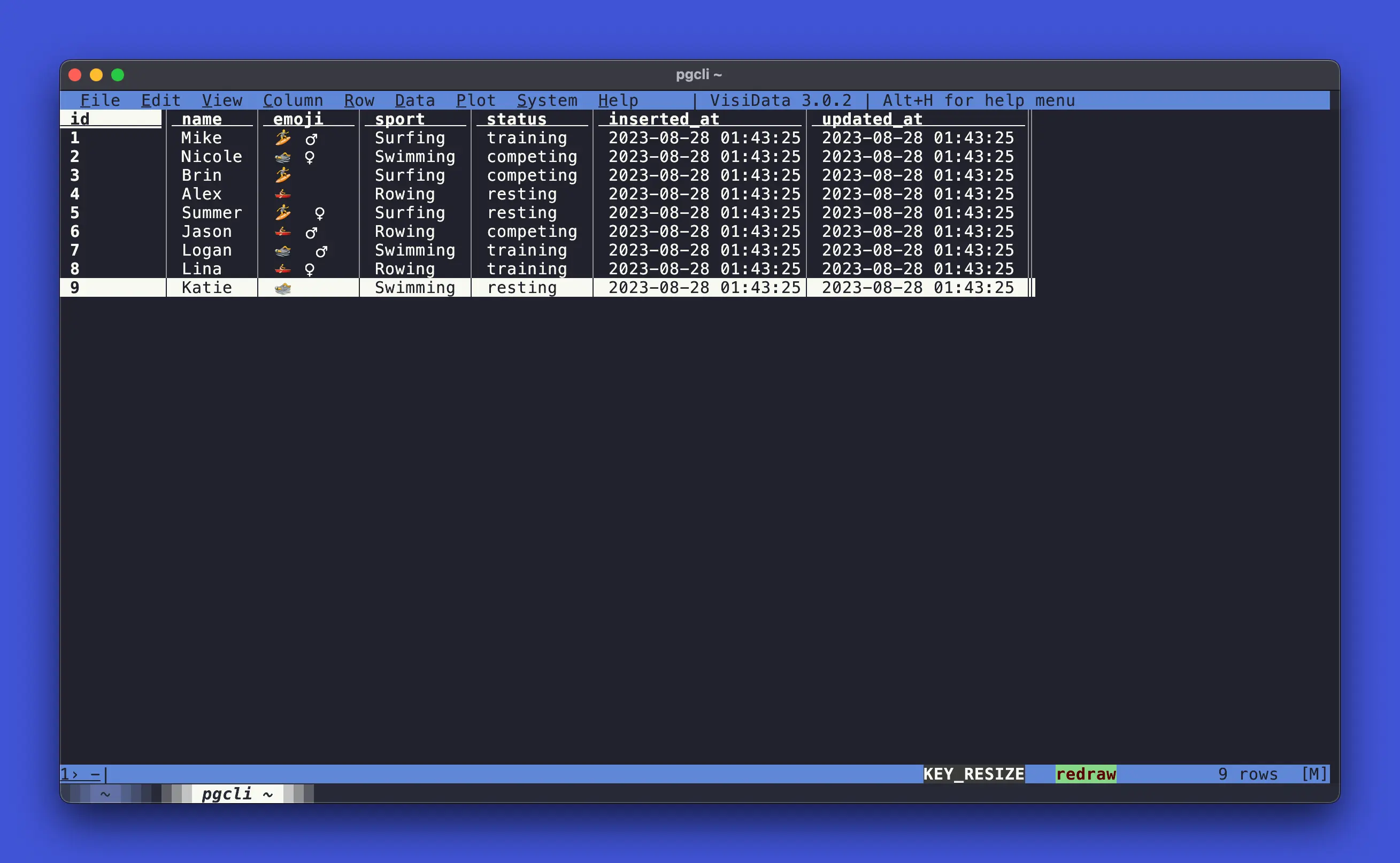 pgcli with visidata